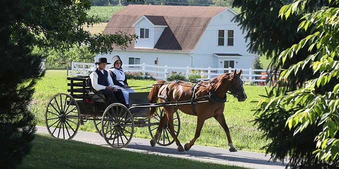 voorbeeld conventioneel amish gemeenschap