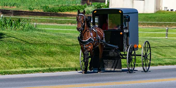 voorbeeld conventioneel paard en wagen